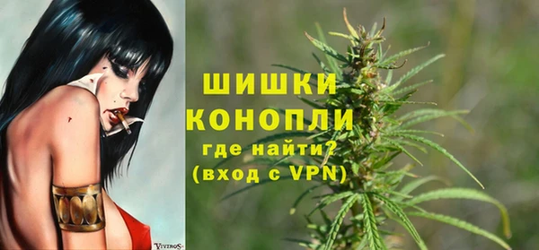 дживик Аркадак