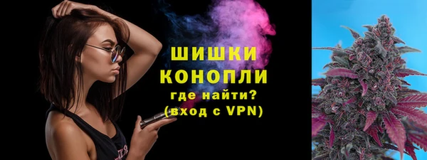 дживик Аркадак