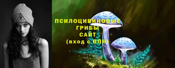дживик Аркадак