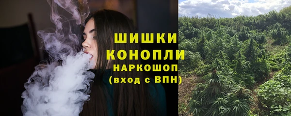 крисы Балахна